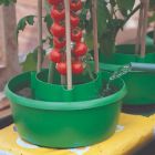 Garland Green Plant Halos - Pack of 3