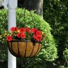 Ambassador - Flat Bar Hanging Basket - 16"