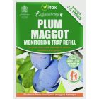 Vitax - Plum Maggot Trap - 35g Refill Pack