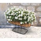 Ambassador - Cradle Planter  With Coco Liner - 24"