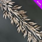 Davies Products Leaves Garland - 6ft Champagne