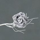 Davies Products Clip On Velvet Rose - 10cm Silver