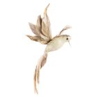 Premier Christmas Sequin Humming Bird 23cm - Gold