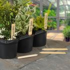 Ambassador - Bamboo Plant Labels & Pencil 10 Piece - 4"