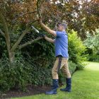 Wilkinson Sword - Pruning Saw & Holster