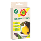 Baby Bio Houseplant Fly Traps - Pack of 10