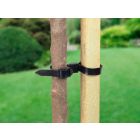 Ambassador - Adjustable Rose and Shrub Ties