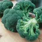 Unwins Broccoli (Calabrese) Green Magic F1 Seeds
