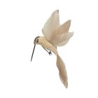 Davies Products Feather Hummingbird Christmas Tree Decoration - 19cm Champagne