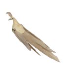 Davies Products Feather Peacock Christmas Tree Decoration - 19cm Champagne