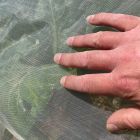 Ultra Fine Insect Protection Netting - 1m x 10m