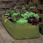 Haxnicks Multipurpose Reusable Growbag Planter