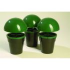 Slug & Snail Catcher - Pack of 3 