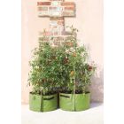 Haxnicks Tomato Patio Planter - Pack of 2