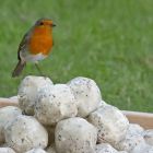 RSPB Suet Balls With Sunflower Hearts Bird Food - Pack of 6