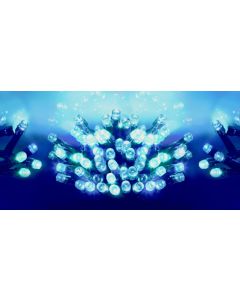 Multi Action Battery Operated TIMELIGHTS™ - 200 LED - Blue