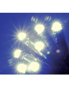 LED Chaser Lights - 600 Bulb Warm White