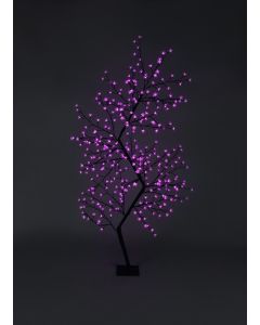 Zig Zag Cherry Blossom Tree - 2.1m Pink