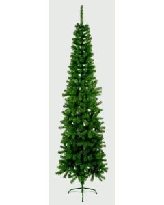 Spruce Pine - 2m