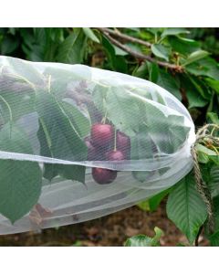 Agralan Fruit Tree Sleeves - Pack of 5