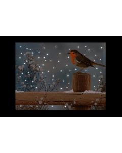 Battery Operated Fibre Optic Robin Post Canvas - 40x30