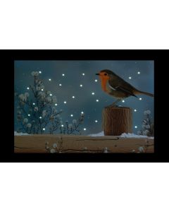 Battert Operated Fibre Optic Robin Post Canvas - 30x20