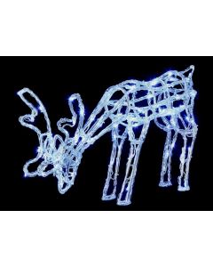Acrylic Grazing Reindeer 90 White LEDs - 40cm