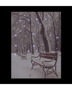 Fibre Optic Bench In Snowy Park Canvas - 30x40