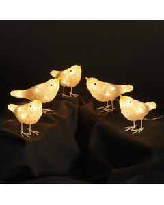5 Acrylic Bird Lights With 40 Warm White LEDs