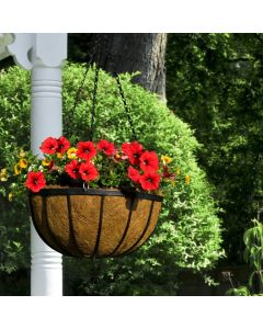 Ambassador - Flat Bar Hanging Basket - 12"