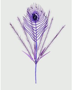 Peacock Feather Stem - 30cm - Purple