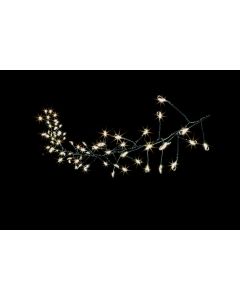 80 Multi Action MICROBRIGHT Star Cluster LEDs - Warm White With Timer - Star Shaped