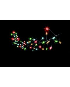 80 Multi Action MICROBRIGHT Star Cluster LEDs - Multi Coloured With Timer