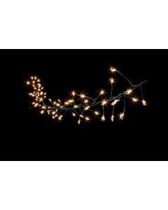 80 Multi Action MICROBRIGHT Star Cluster LEDs - Vintage Gold with Timer