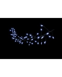 80 Multi Action MICROBRIGHT Star Cluster LEDs - White with Timer