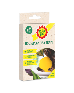 Baby Bio Houseplant Fly Traps - Pack of 10