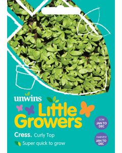 Little Growers Cress Curly Top Seeds