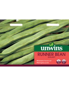 Runner Bean Galaxy Seeds