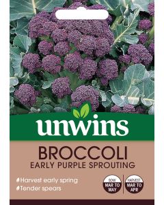 Broccoli (Sprouting) Early Purple Sprouting Seeds