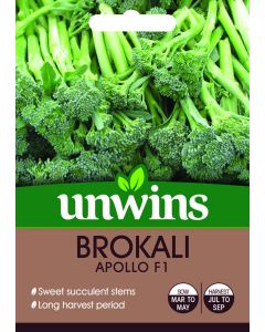 Brokali Apollo F1 Seeds