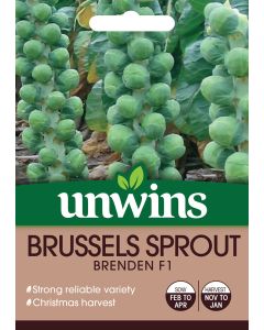 Brussels Sprout Brenden F1 Seeds