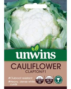 Cauliflower Clapton F1 Seeds