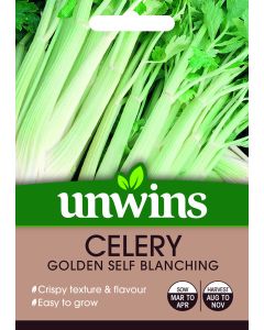 Celery Golden Self Blanching Seeds
