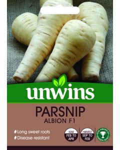 Parsnip Albion F1 Seeds