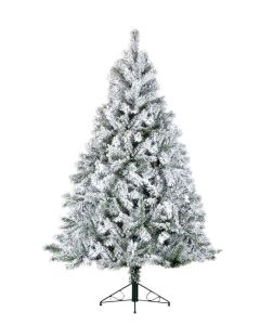 Snowy Toronto Pine Tree - 210cm