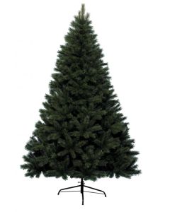 Canada Spruce Green Tree - 180cm