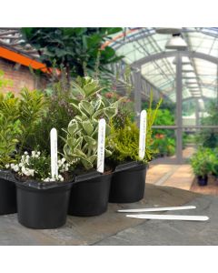 Ambassador - Plant Labels - 5" - 10cm