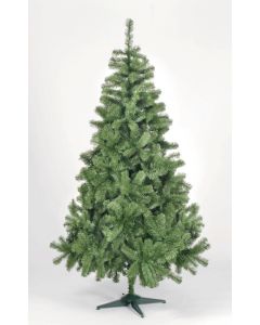 Colorado Spruce Green Tree - 210cm
