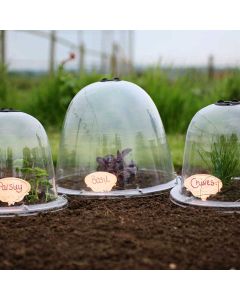 Haxnicks Original Victorian Bell Garden Cloche - 3 Pack