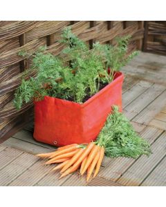 Haxnicks Carrot Patio Planter - Pack of 2
